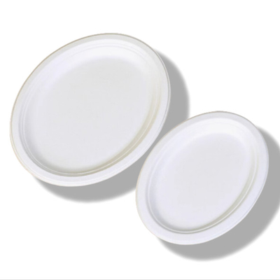 acheter Plaque de pâte à pâte en forme ovale Plaques de bagages à base de canne à sucre jetables online manufacture