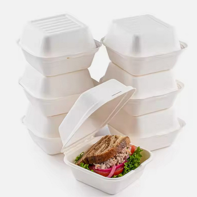 Buy Single Cell Bagasse Lunch Box Disposable Bagasse Food Container 8 Inch online manufacture