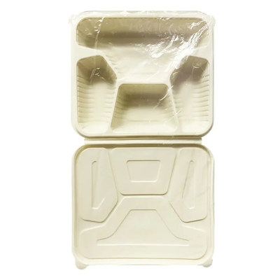 comprar 700 ml de capacidad biodegradable compostable almidón de maíz concha de concha caja de alimentos caja de embalaje online manufacture