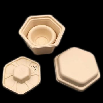 خرید سفر شش گوشه ای کمپوست قابل استفاده قوری چای ذرت نشاسته قوری چای online manufacture