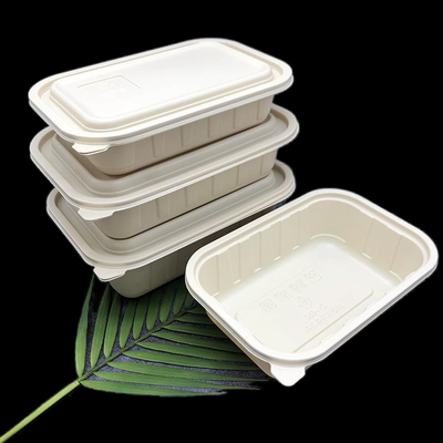購入 カスタマイズ可能なコンポスタブル 容器 380ml/500ml/650ml/750ml/1000ml online manufacture