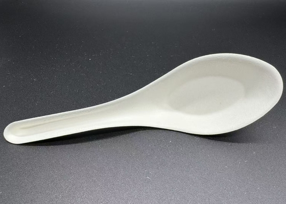 購入 環境に優しいコンポスタブルパルス用 食器 砂糖甘え用 食器 生物分解性 バガーススプーン online manufacture