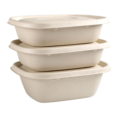 kupować Jednorazowe naczynia do kolacji na imprezy, pudełko sałatkowe 850 ml, 1100 ml, 1300 ml, opakowanie z trzciny cukrowej online manufacture