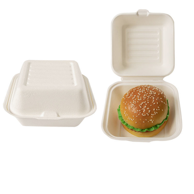 Buy Compostable Disposable Eco-friendly 6