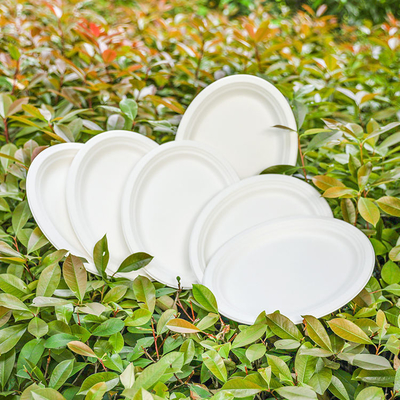 Vaisselle de fête jetable SANS PFAS 6 7 9 10 pouces 100% compostable en canne à sucre, assiettes rondes en bagasse
